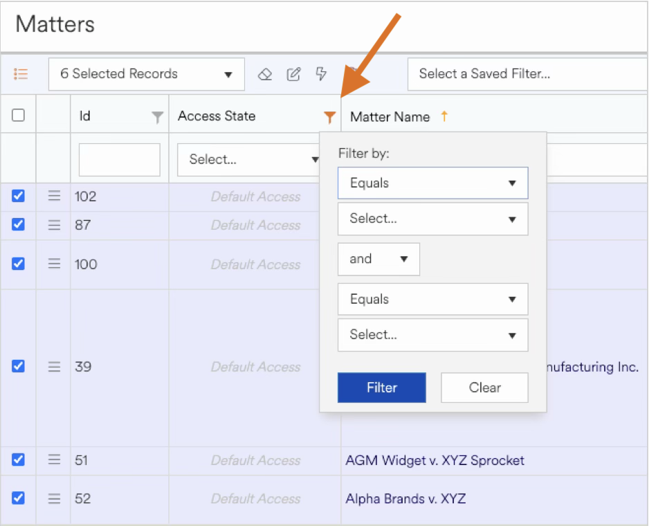 Filtering options for matters displayed with selected records and access states.